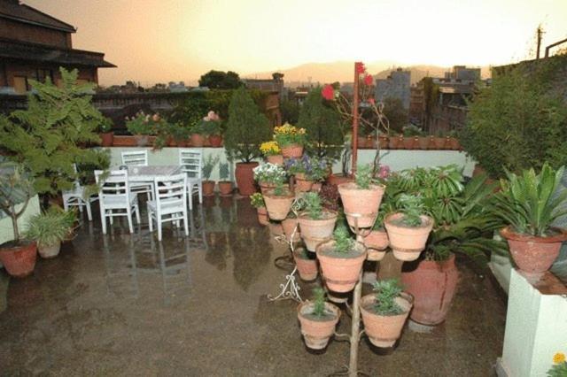 Hotel Kathmandu View المظهر الخارجي الصورة